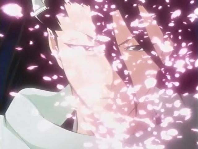 Otaku Gallery  / Anime e Manga / Bleach / Screen Shots / Episodi / 095 - Byakuya prende il campo - Ballo del vento dei fiori di ciliegio / 066.jpg